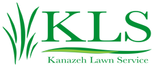 Lansing Lawn And Snow Logo