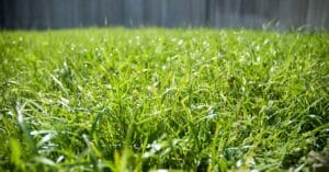 Standing Water in Your Yard? Here’s When You Actually Need a French Drain (And When You Don’t)