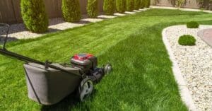 How to Avoid Lawn Stress: The Importance of Proper Mowing Techniques